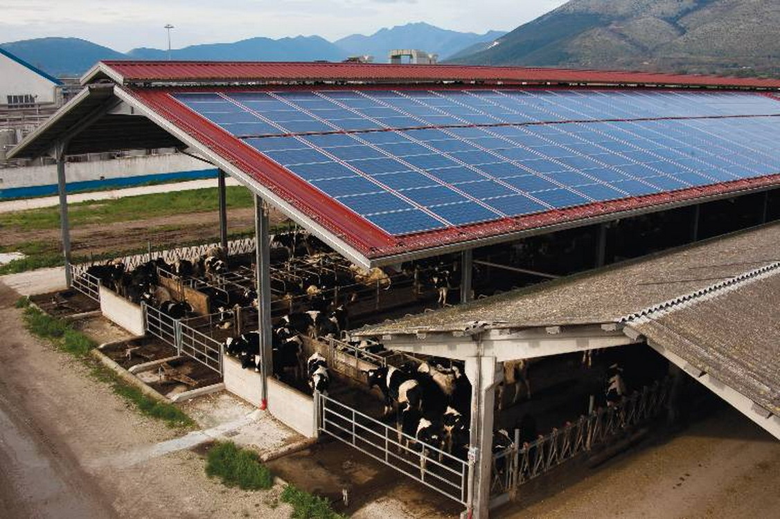 Bando PNRR Agrisolare incentivi fotovoltaico aziende agricole